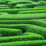 Green labyrinth or maze.