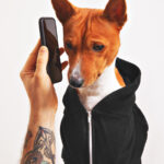 A dog calling someone through phonr.