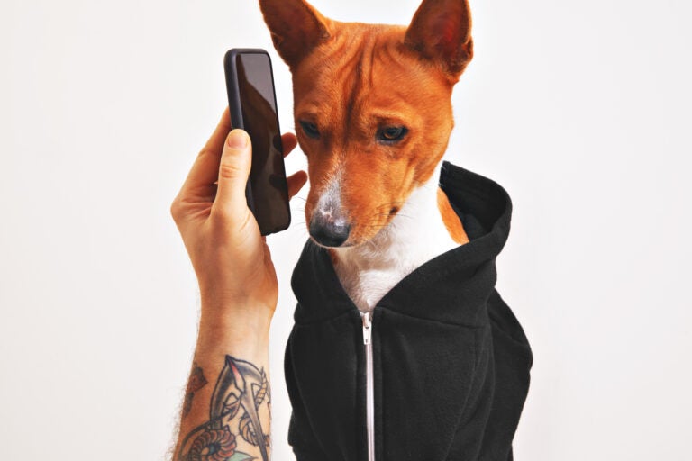 A dog calling someone through phonr.
