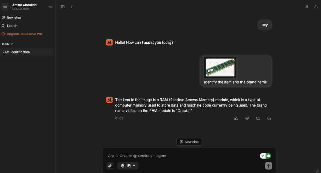 Mistral recognized the image uploaded and the text on the item.