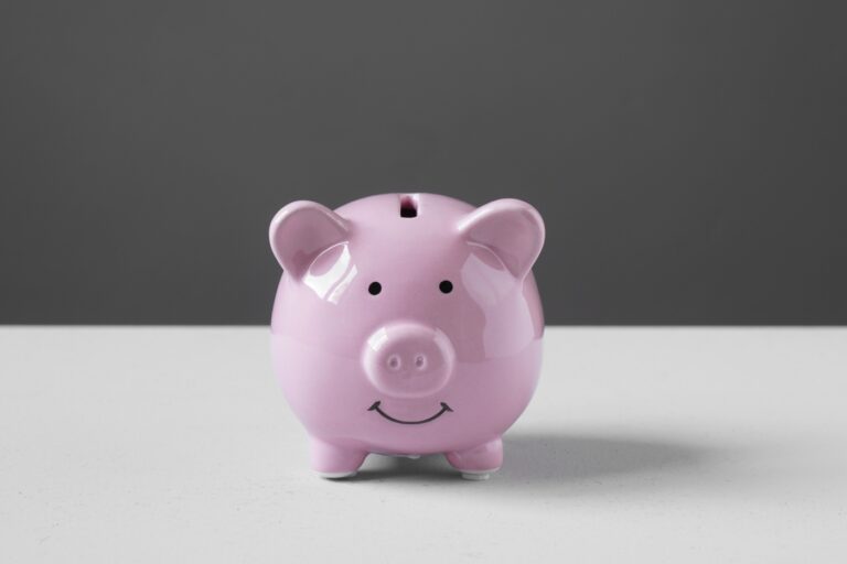 piggy or coin bank or piggybank or money box.