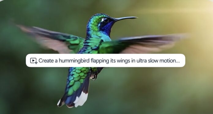 Screenshot of Microsoft Bing Video Creator demo featuring a hummingbird.