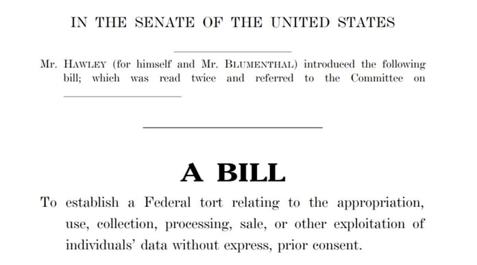 A screenshot of the actual copy of Hawley’s proposed bill. (Source: U.S. Senate)
