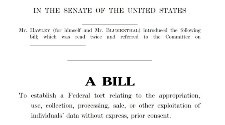 A screenshot of the actual copy of Hawley’s proposed bill. (Source: U.S. Senate)