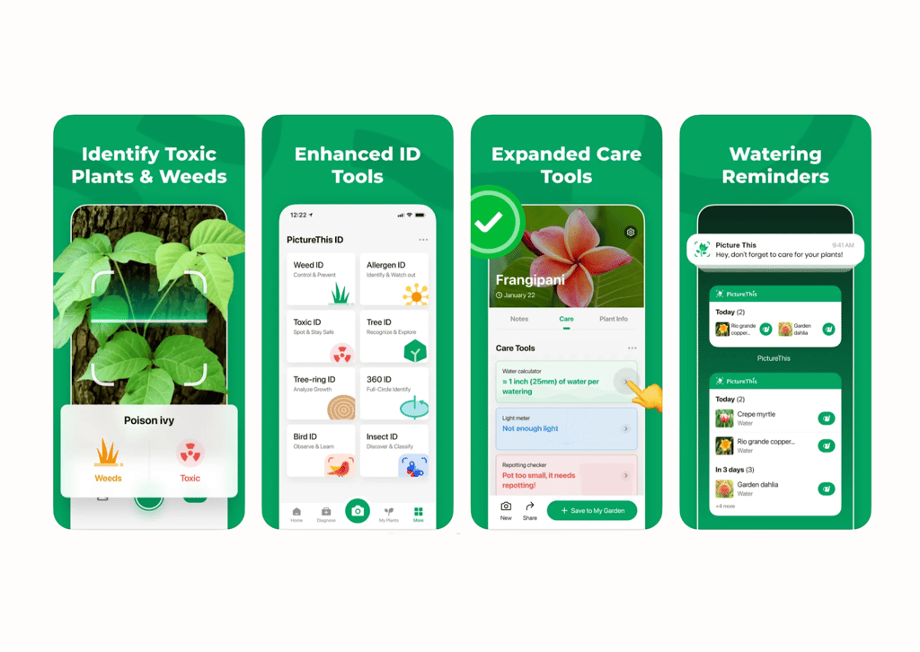 PictureThis identifies plants, detects diseases, and flags toxicity risks, helping you keep your garden and home safe.