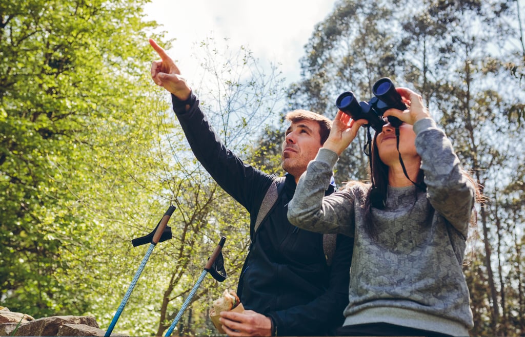 Best AI Tools for Birders
