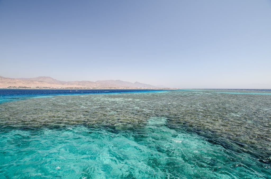 Red Sea Crisis Forces Google and Meta to Delay Internet Cables