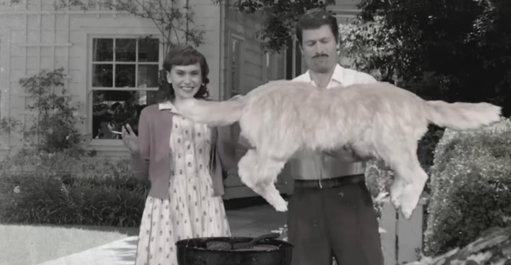 SNL Reveals What Really Happens When AI Tries to ‘Bring Memories to Life’