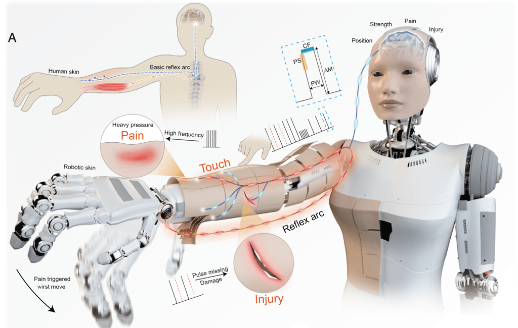 China Unveils ‘Electronic Skin’ That Gives Robots Human-Like Reflexes
